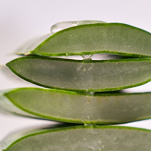 Black Rice Hyaluronic Essence