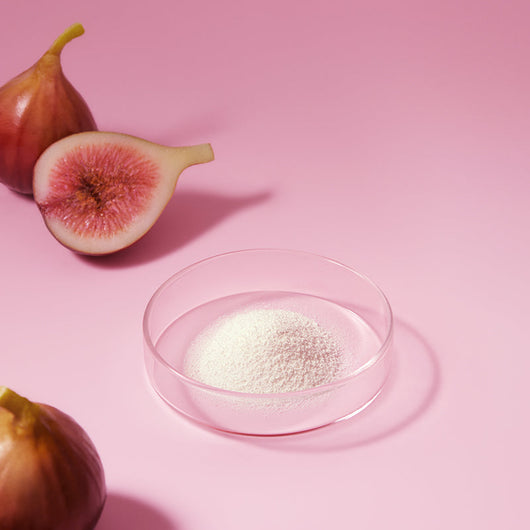 Fig Enzyme Powder Cleanser