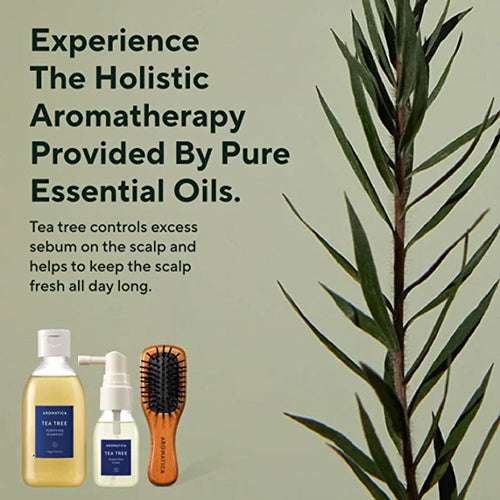 Tea Tree Scalp Purifying Trial Kit