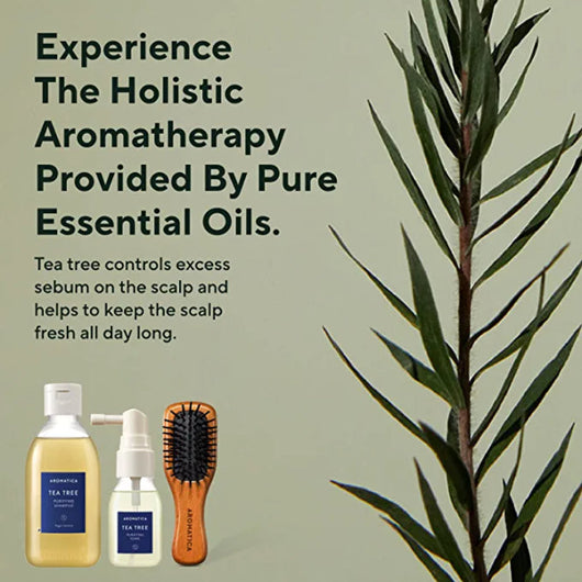 Tea Tree Scalp Purifying Trial Kit