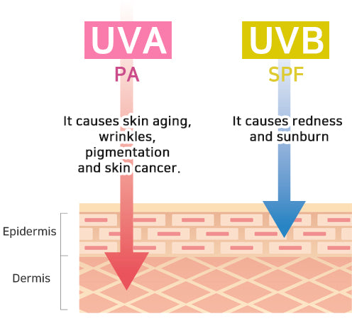 Comfy Water Sun Block SPF20~30
