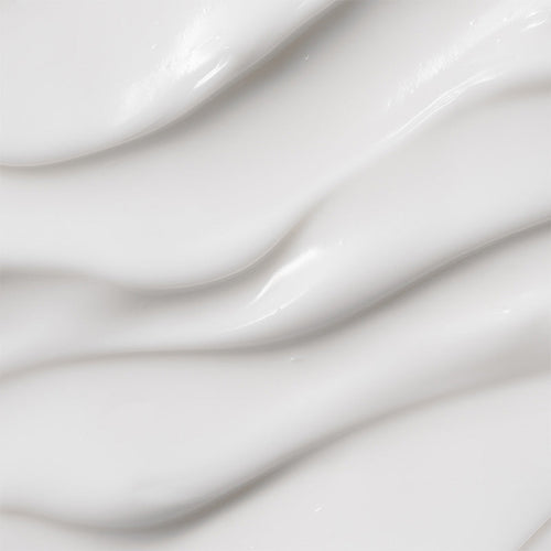 Moringa Ceramide Hyaluronic Hydrating Cream