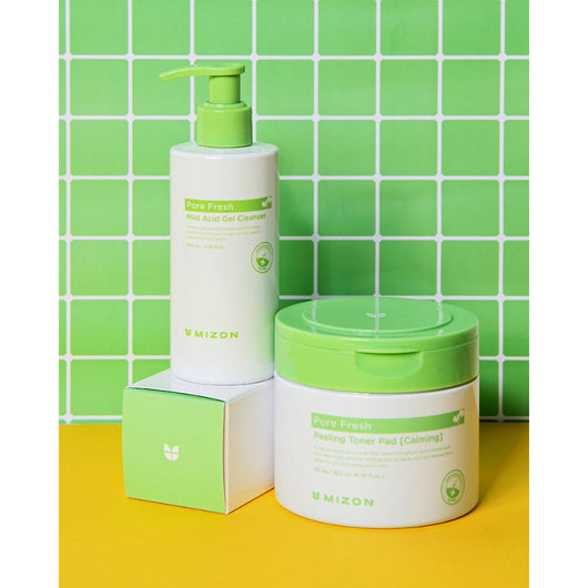 Mizon Pore Fresh Mild Acid Gel Cleanser