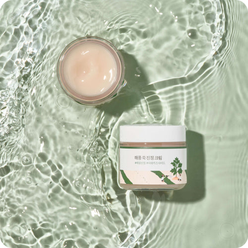 ROUND LAB - Mugwort Calming Cream