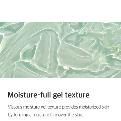Aloe Soothing Gel Moisture Type