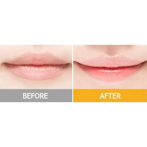 Honey & Milk Lip Balm