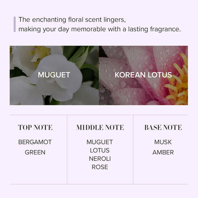 Seoul Edition Hand Cream Trio Set