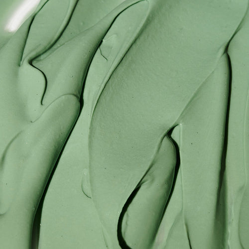 Expert Spirulina Cooling Modeling Mask