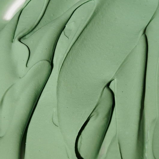 Expert Spirulina Cooling Modeling Mask