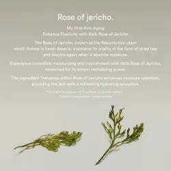 Abib - Jericho Rose Bifida Serum Firming Drop