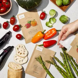 Abib - Jericho Rose Bifida Serum Firming Drop